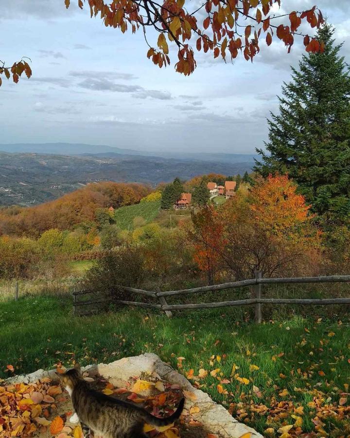 Apartmani Planinska Kuca, Jagodnja Krupanj Extérieur photo
