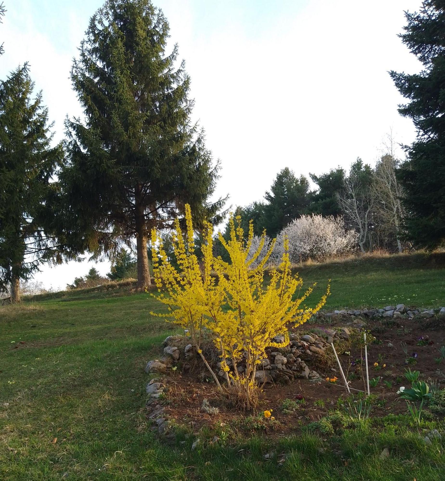Apartmani Planinska Kuca, Jagodnja Krupanj Extérieur photo